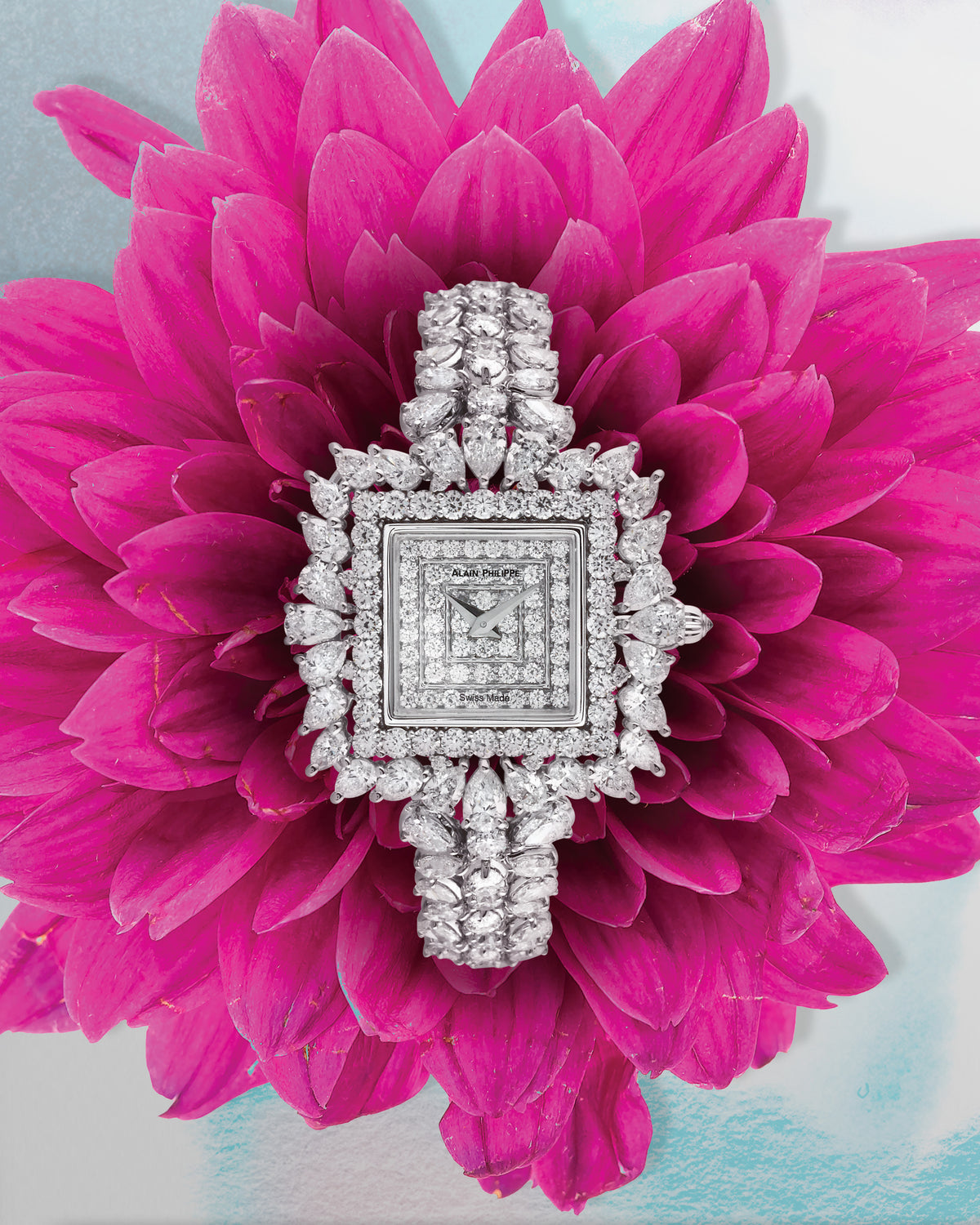 An Alain Philippe watch resting on a magenta dahlia.
